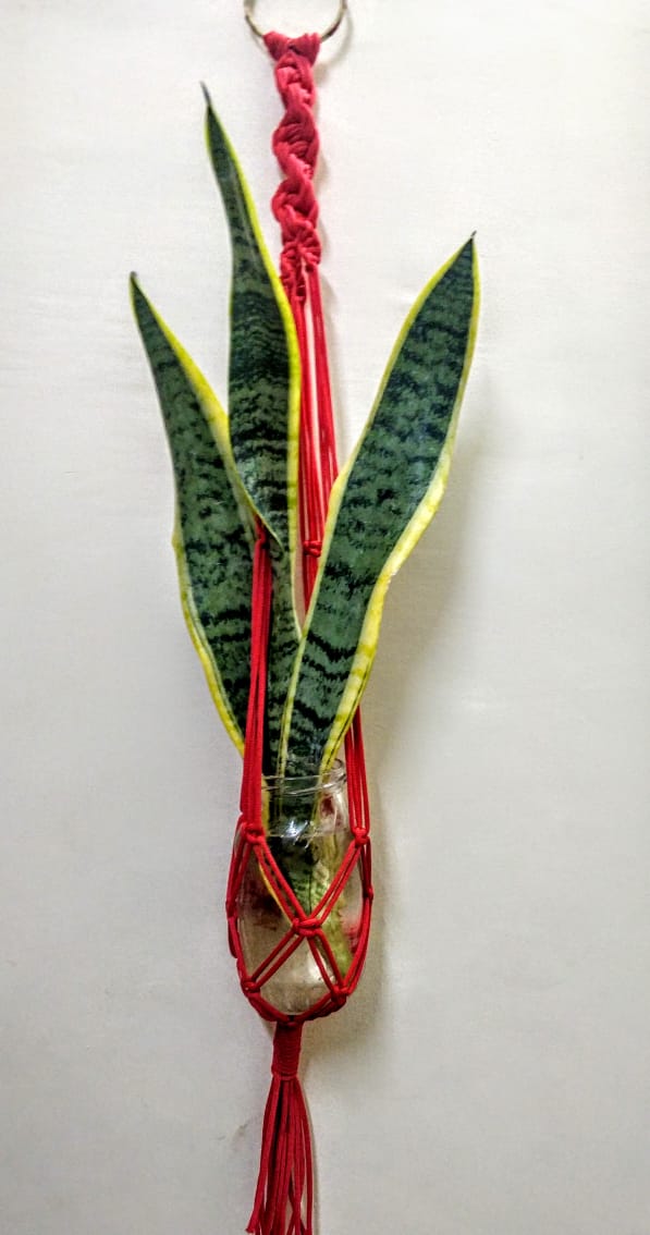 Macramé 6